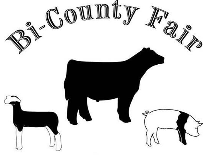 Fair Logo