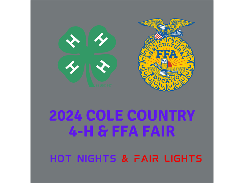 Fair Logo