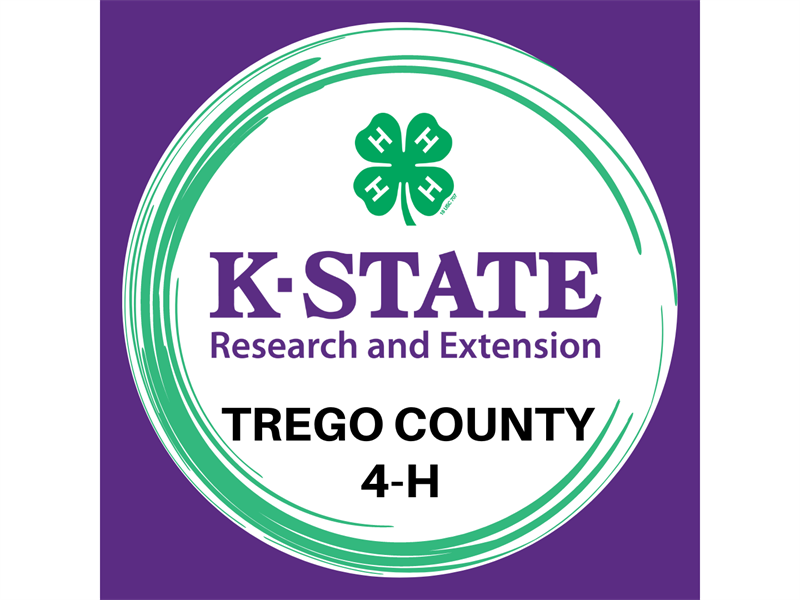 Logo for 2024 Trego Co. Fair